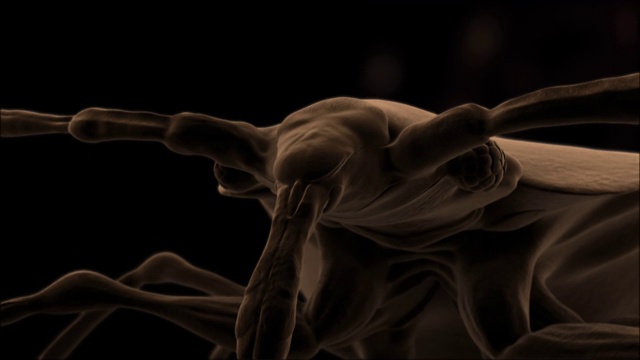 在计算机生成的动画中，一只臭虫用它的喙刺穿皮肤。视频素材
