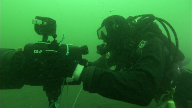 水肺潜水员拍摄座头鲸的尸体。视频下载