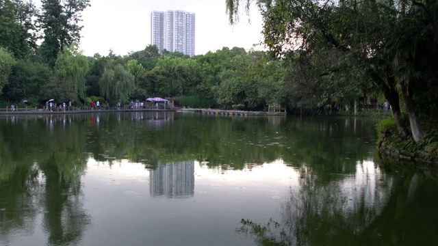四川成都人民公园内的人工湖视频素材
