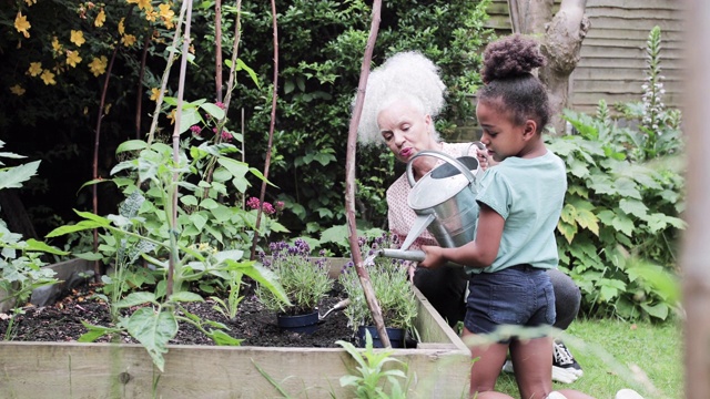 奶奶帮孙子在花园里浇水视频下载