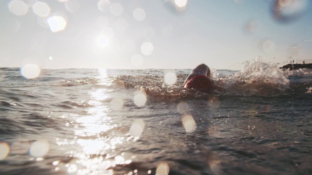 日落时分，一个年轻人在海里游泳视频素材