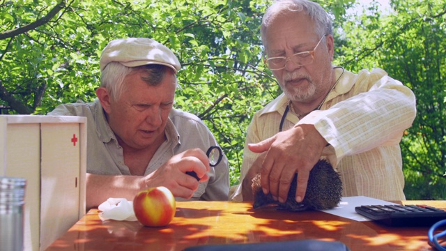 老年人在花园里棕色的桌子上查看刺猬视频下载