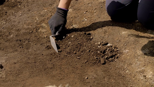 考古发掘。考古学家挖掘groundg视频下载