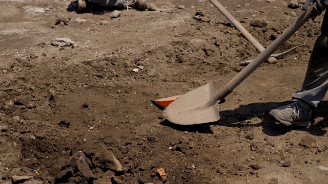 用铲子挖土。考古遗址视频素材