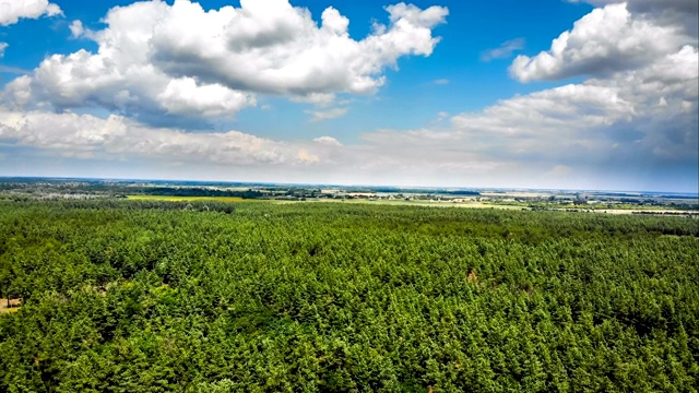 超缩鸟瞰图与移动的云在蓝色的天空绿色森林视频素材