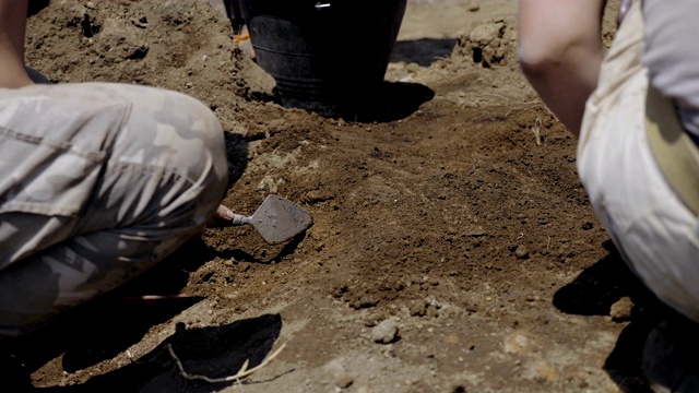 一组考古学家在一个考古遗址挖掘土壤视频下载
