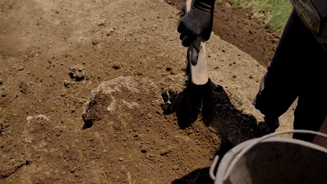 考古学家清扫历史遗迹中的泥土视频素材