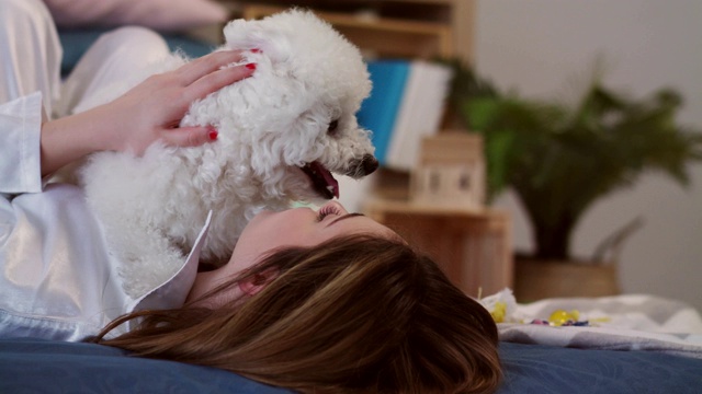 躺在床上，抱着她的狗视频素材