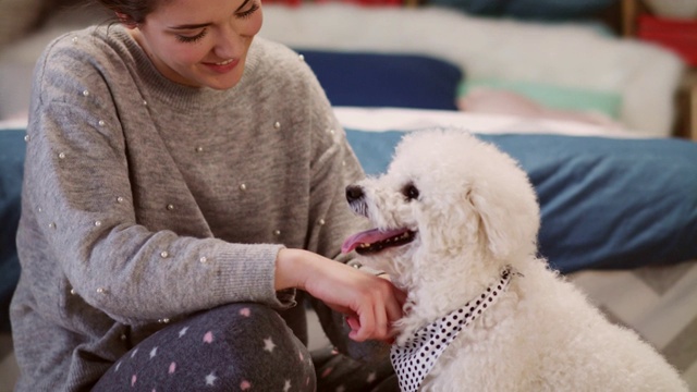 一个女人在给她可爱的小狗系头巾视频素材