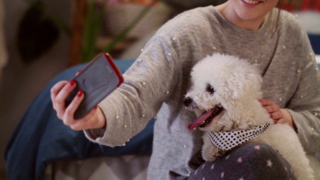 微笑的年轻女子抱着她的狗在她的腿上，并在一起自拍视频素材