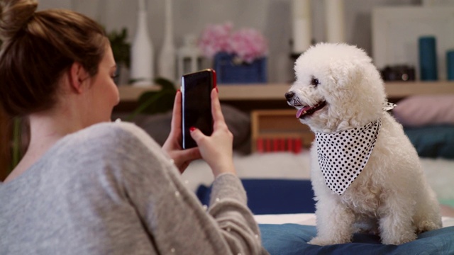 一个女人用她的智能手机给她的狗拍照视频素材