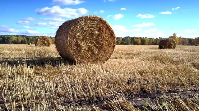 近距离观看，巨大的稻草卷在阳光下照耀着广阔的田野视频下载