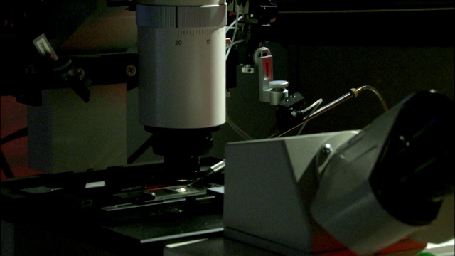 科学家用显微镜使胚胎受精。视频素材