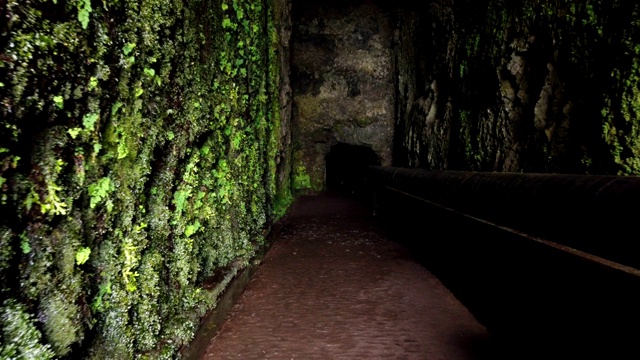 马德拉岛通往“Rabacal”步道的隧道入口视频素材