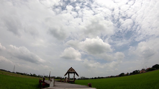 用木头和干树叶建造的小屋，在稻田上有一座木桥，随风摇摆，云在空中快速移动。视频素材