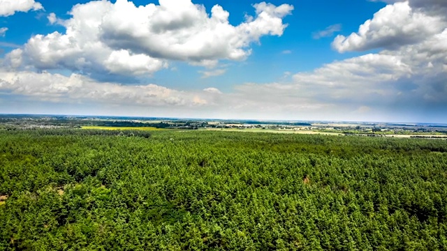 超缩鸟瞰图与移动的云在蓝色的天空绿色森林视频素材