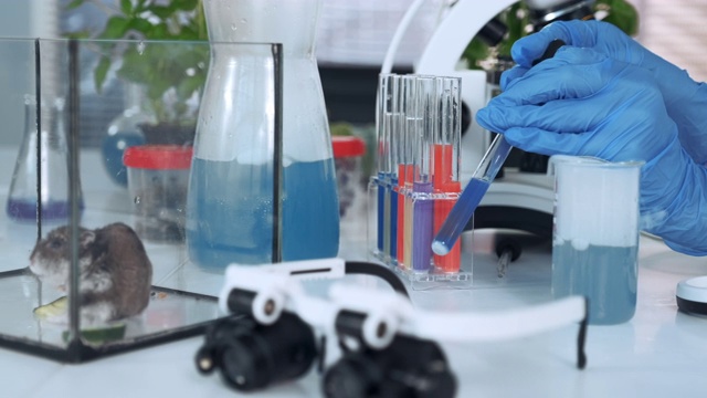 特写的科学家手在实验室手套混合化合物在试管中使用吸管视频素材