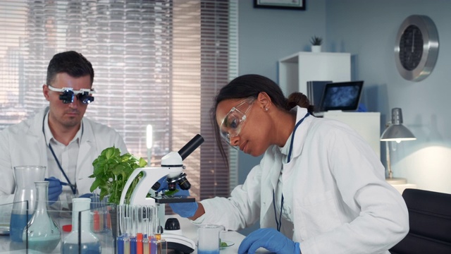 在现代研究实验室里，在显微镜下观察有机物质的黑人女科学家视频下载