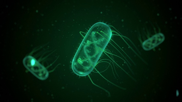 电脑生成漂浮的大肠杆菌视频素材