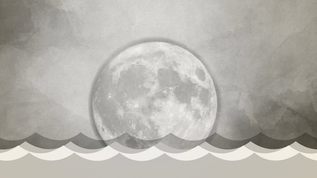 海-水波-黑&白&彩色-在白天和晚上与月亮和太阳，船和海鸥视频下载