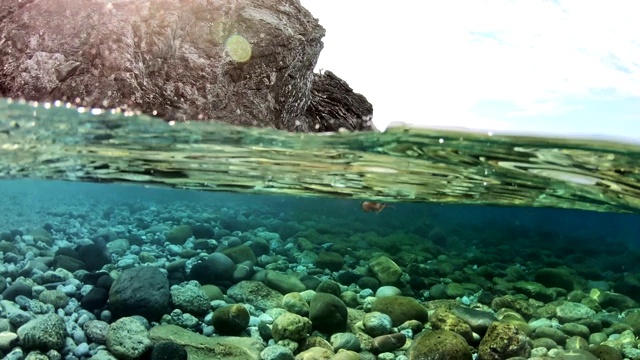 水母水下景观视频素材