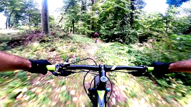 山地自行车手在森林小径上骑车视频素材