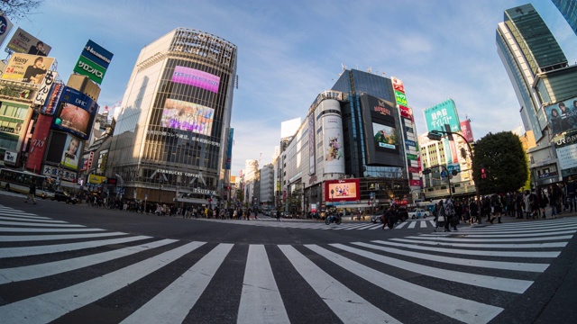 4K时间的推移，日本东京涩谷地区的日本和外国游客在晚上走过人行横道，日本文化概念视频下载