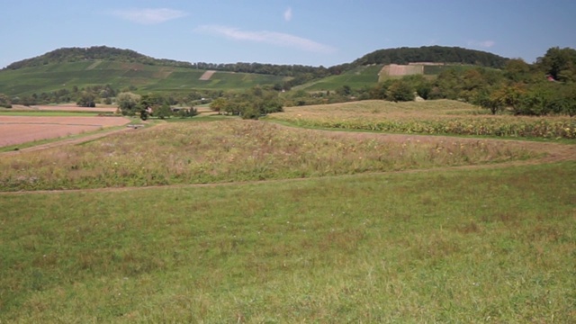 风景如画的田野和草地，后面是葡萄园视频下载