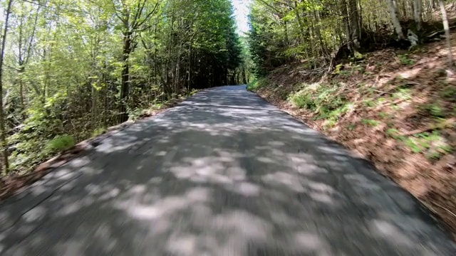 在森林里的乡间小路上开车视频素材