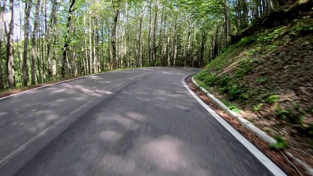 在森林里的乡间小路上开车视频素材