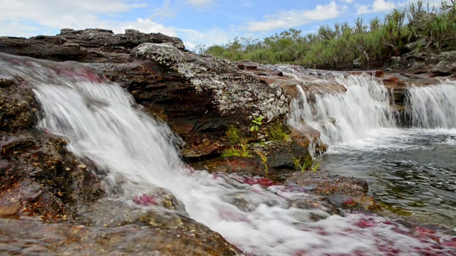 卡诺水晶河的红藻和瀑布视频下载