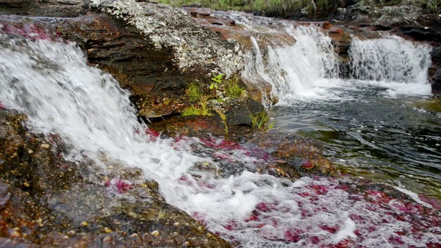 卡诺水晶河的红藻和瀑布视频下载