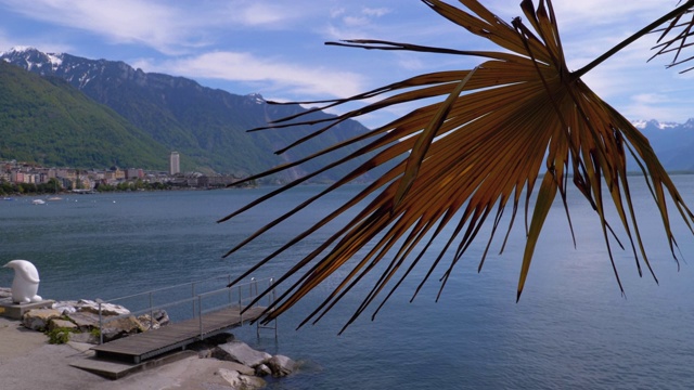 风景的蒙特勒堤岸与日内瓦湖和瑞士阿尔卑斯山视频素材