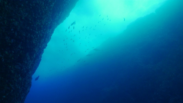 日本小笠原岛海底峡谷视频下载