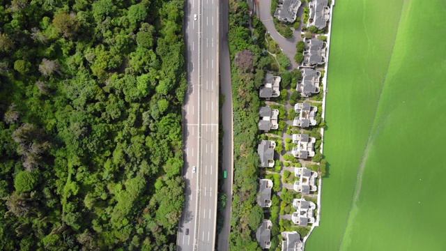 森林和湖泊鸟瞰图(实时)视频素材