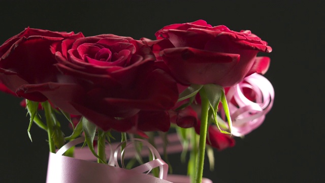 红玫瑰花束旋转特写。黑色背景上的一束红玫瑰。视频下载