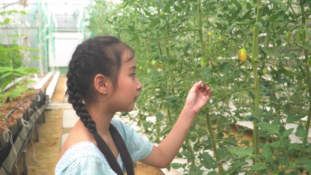 微笑的骄傲的孩子抱着她的第一个西红柿视频素材