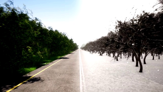 夏季和冬季道路运动3d现实镜头。季节性景观。年循环和时间变化，概念动画。寒冷和温暖的天气。落雪在森林抽象视频视频素材