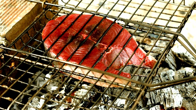 近距离拍摄的美味烤金枪鱼烧烤。4 k视频素材