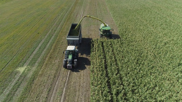 鸟瞰图的农场机器收获玉米与饲料收获机。法兰克尼亚,巴伐利亚,德国。视频下载