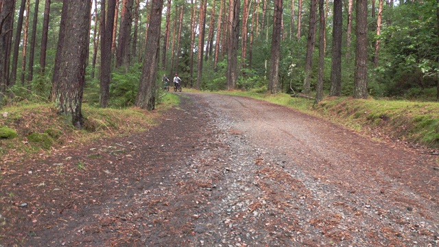 鸟瞰图的下坡车手与山地自行车在松树林视频下载