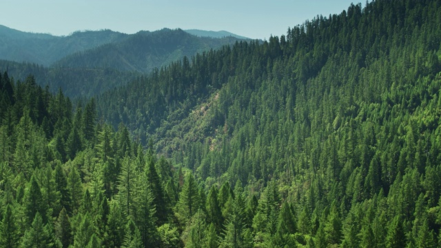 无人机拍摄克拉马斯山脉的森林和下面的河流视频素材