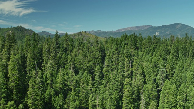 无人机飞越加利福尼亚北部山区的密林视频素材