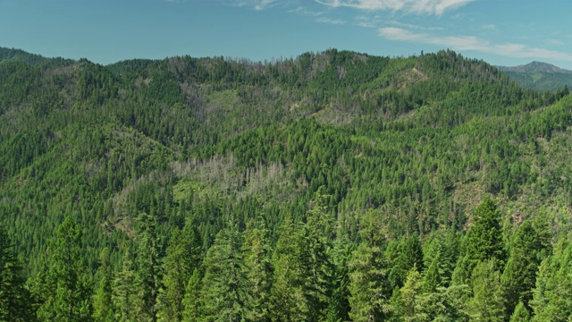 缓慢的无人机飞越加利福尼亚州北部克拉马斯山脉的密林视频素材