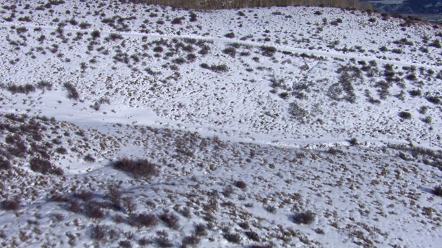 鸟瞰图的积雪覆盖的景观在落基山脉，科罗拉多州，美国视频下载