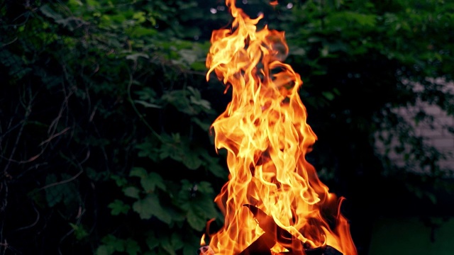 大自然背景下的篝火。视频素材