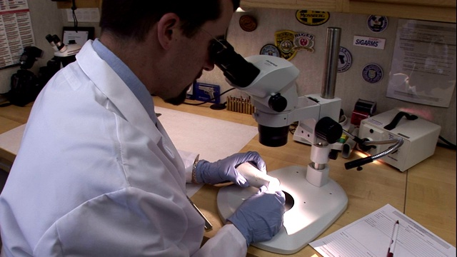 法医科学家用显微镜检查一块骨头。视频下载