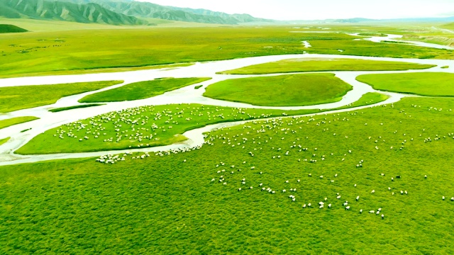 鸟瞰河景与羊场视频素材
