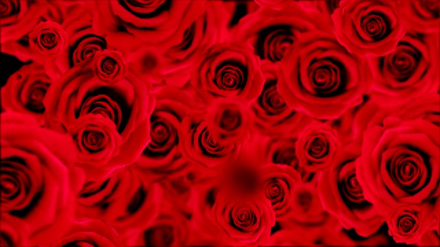 飘落的红玫瑰无缝循环。视频素材