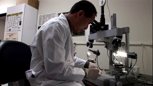 科学家通过显微镜观察。视频素材